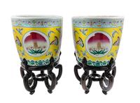 A Pair of Chinese Porcelain Jardinieres and Stands
