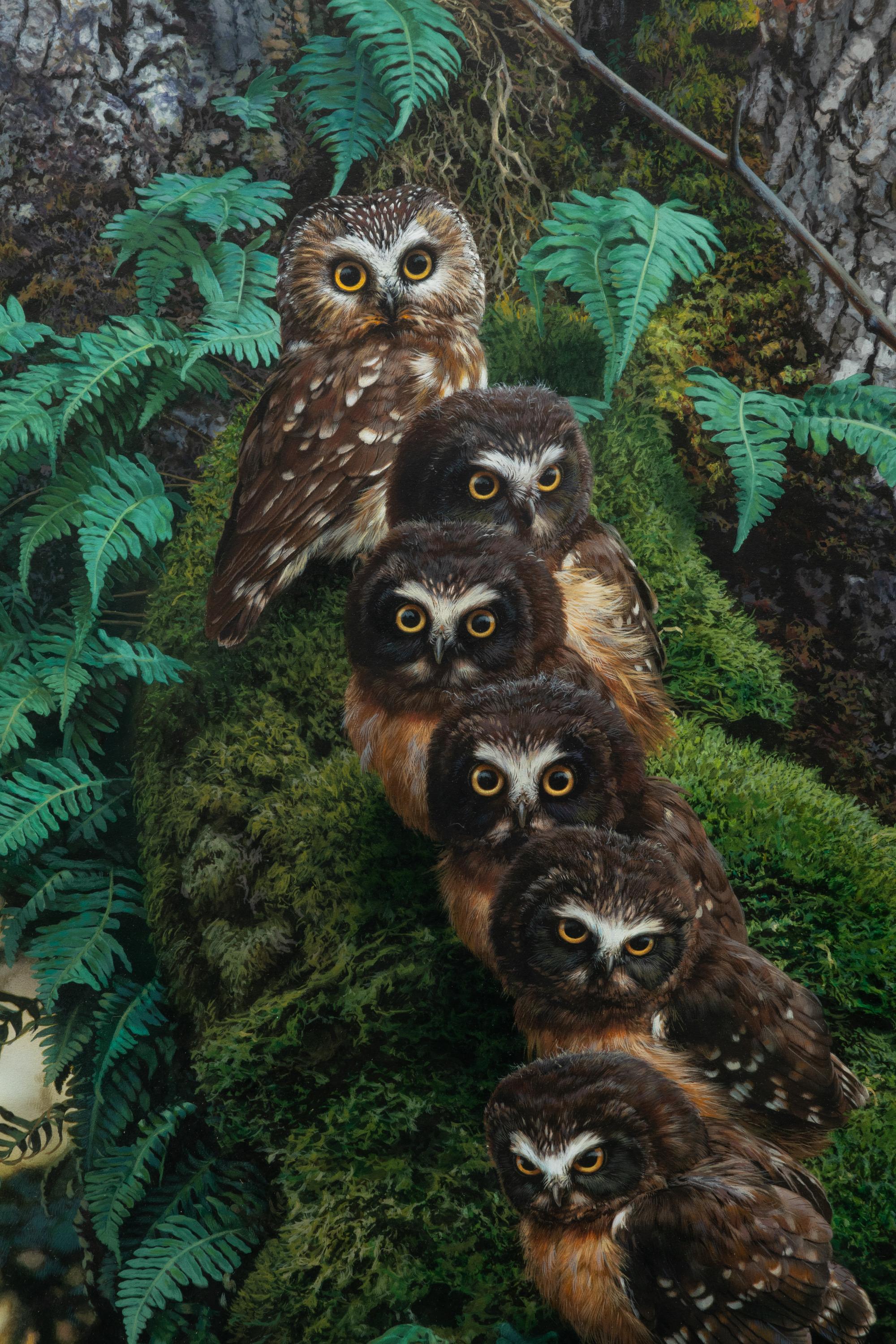 Family Tree , 1995