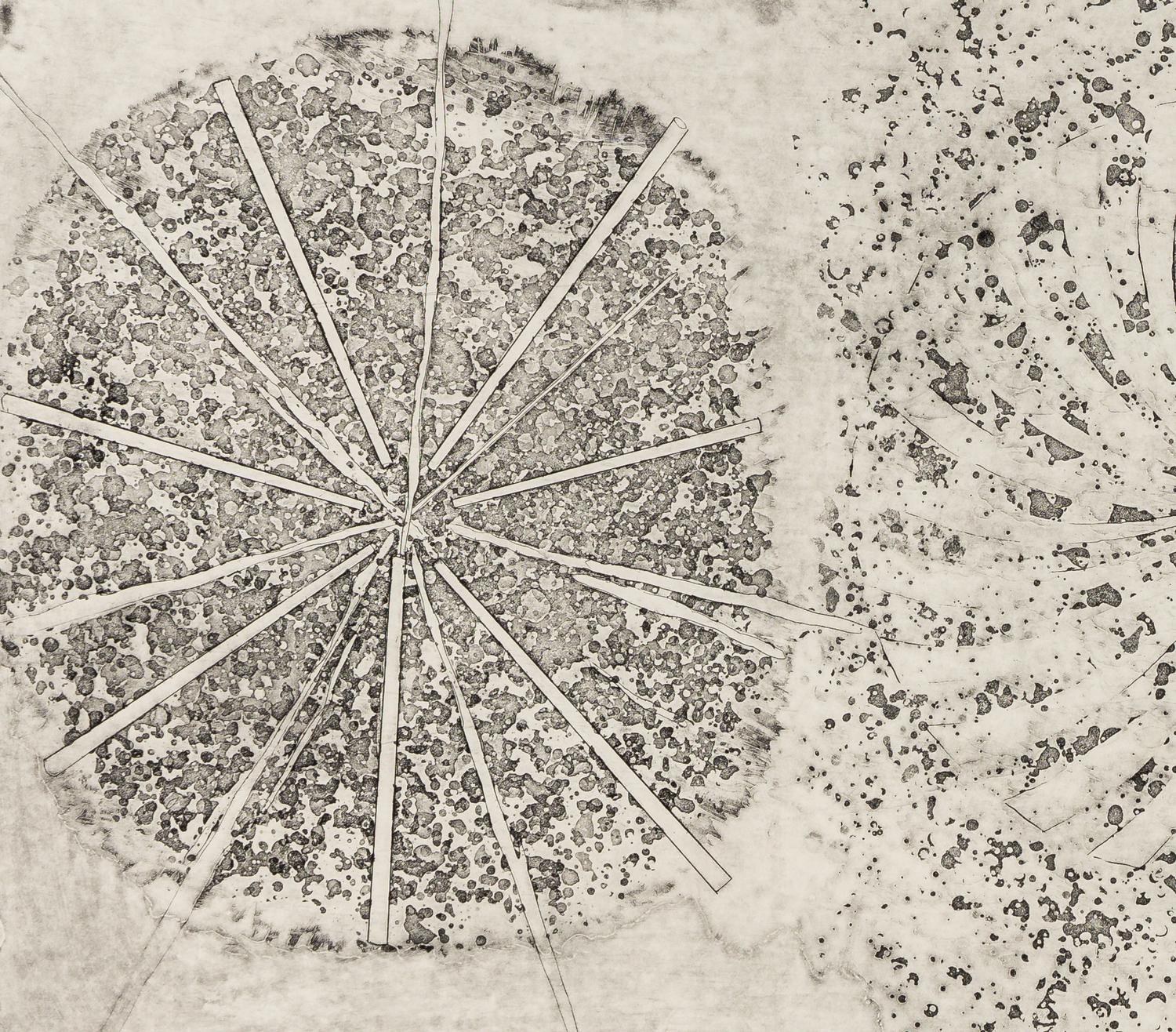 One Million Tons Per Square Inch , 1978