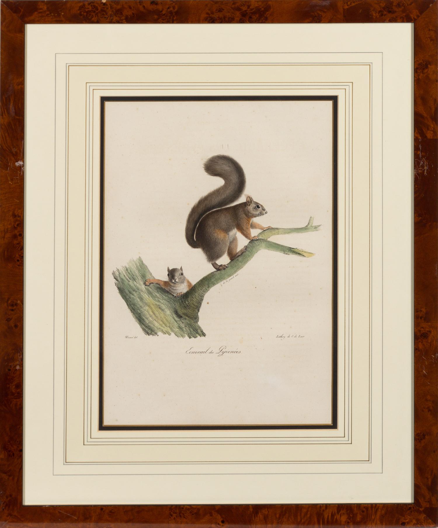 A Set of Six Animalier Prints 15 3/4 x 10 3/4 inches. — 19TH CENTURY