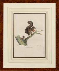 A Set of Six Animalier Prints 15 3/4 x 10 3/4 inches. — 19TH CENTURY