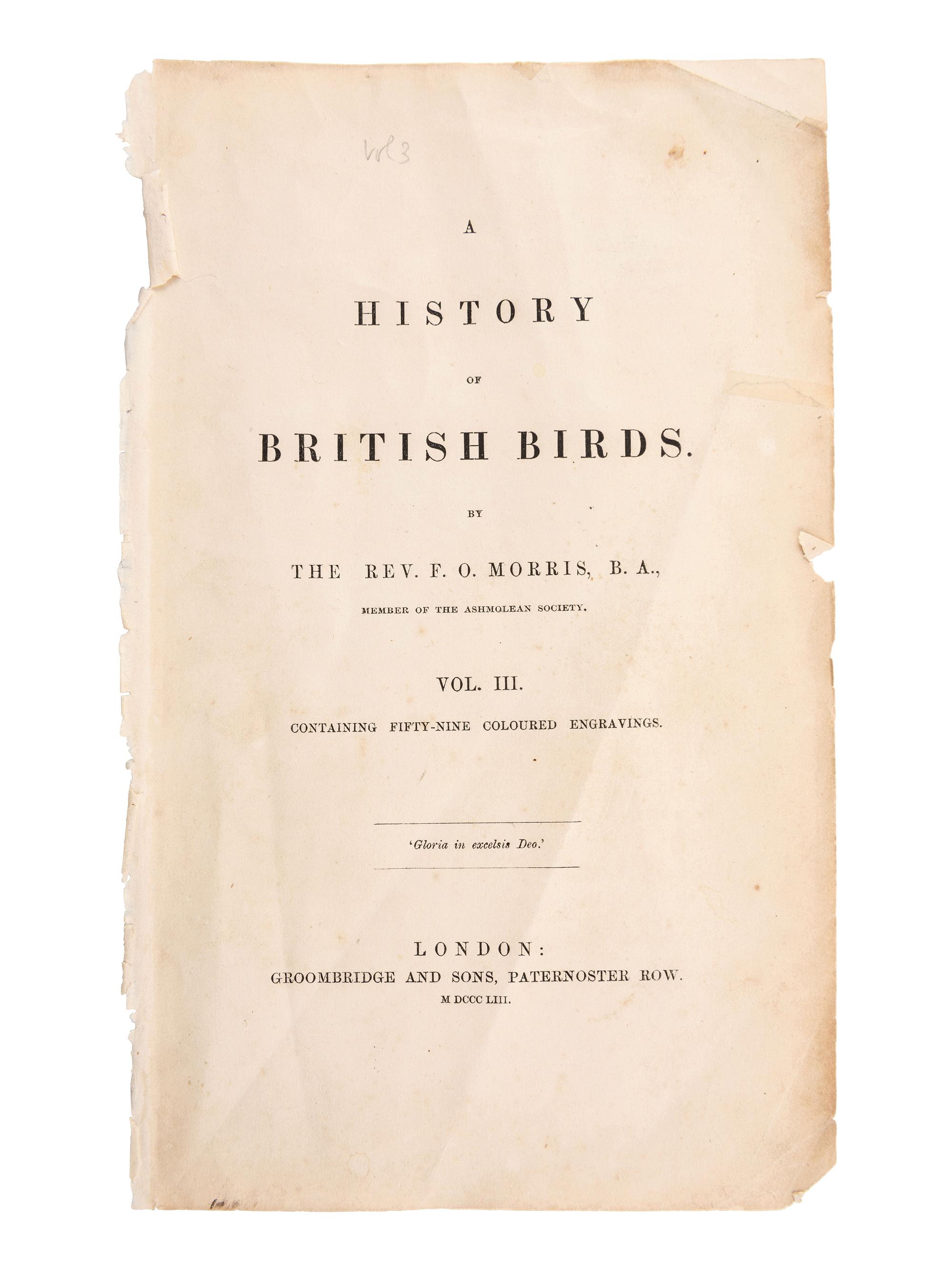 A Collection of Engravings from A History of British Birds , Rev. Francis Orpen Morris (Irish, 1810-1893)