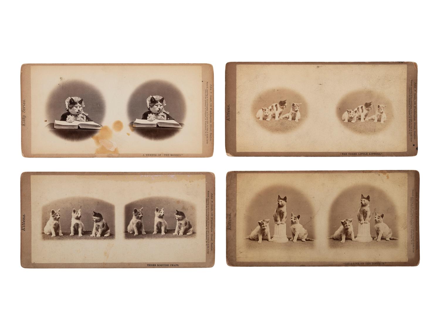 [EARLY PHOTOGRAPHY]. SOULE, John P. (1828-1904), photographer. 16 stereoviews of cats from the "Kittens" and "Kitty" series. Boston, MA: 1871.