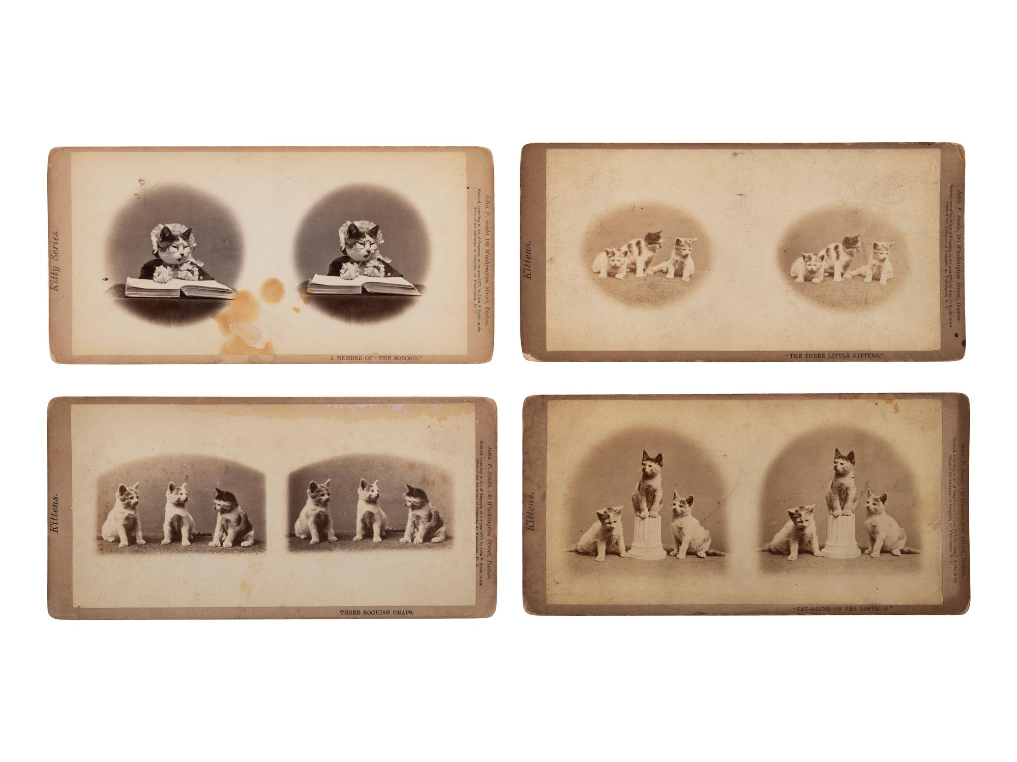 [EARLY PHOTOGRAPHY]. SOULE, John P. (1828-1904), photographer. 16 stereoviews of cats from the "Kittens" and "Kitty" series. Boston, MA: 1871.