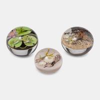 Collection of Three Paperweights, c. 1994-97