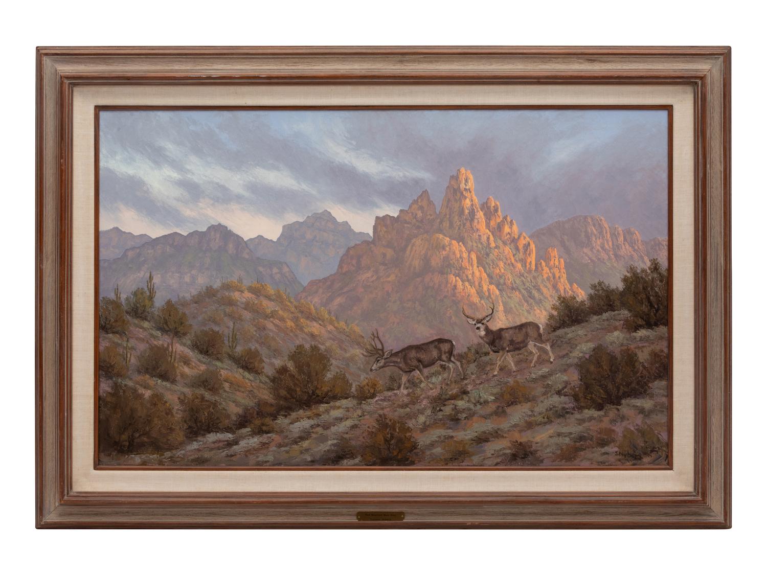 Red Mountain Mule Deer