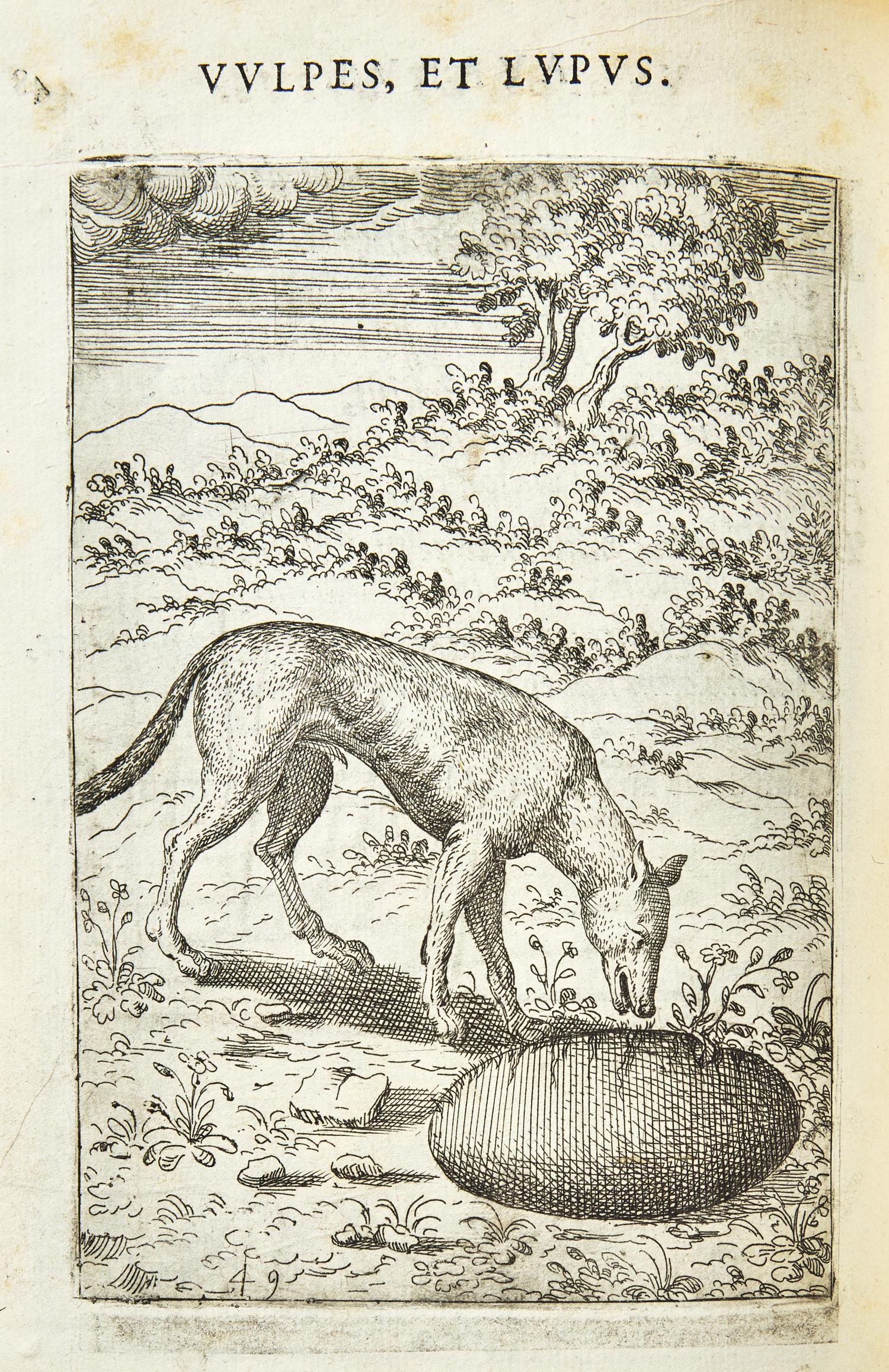 [Literature] Faerno, Gabriele. Fabulae centum ex antiquis auctoribus delectae et a Gabriele Faerno Cremonensi carminibus explicatae