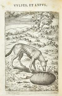 [Literature] Faerno, Gabriele. Fabulae centum ex antiquis auctoribus delectae et a Gabriele Faerno Cremonensi carminibus explicatae