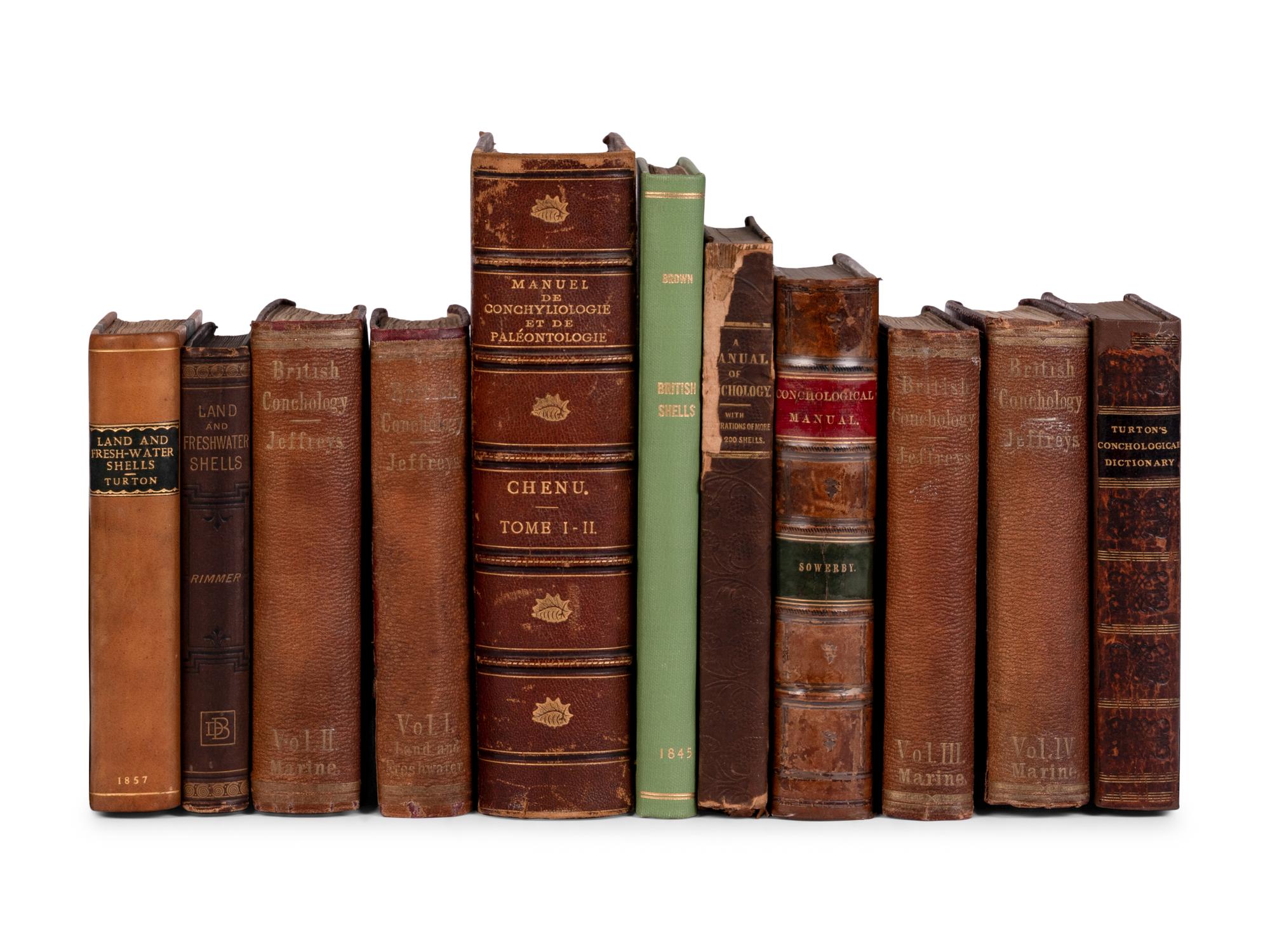 [NATURAL HISTORY]. CONCHOLOGY]. A group of 14 works, including: