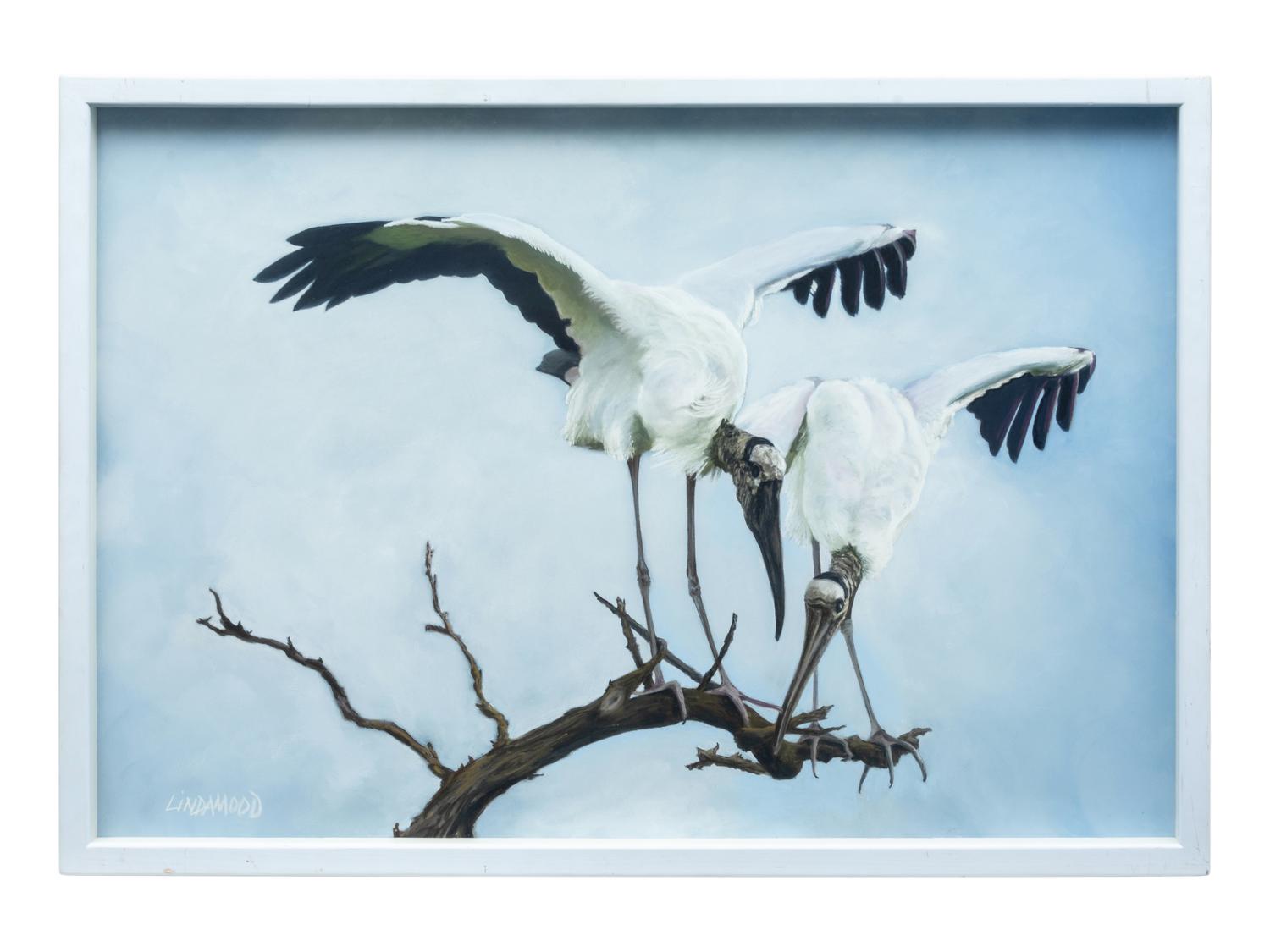 Woodstork Inspection , 2010