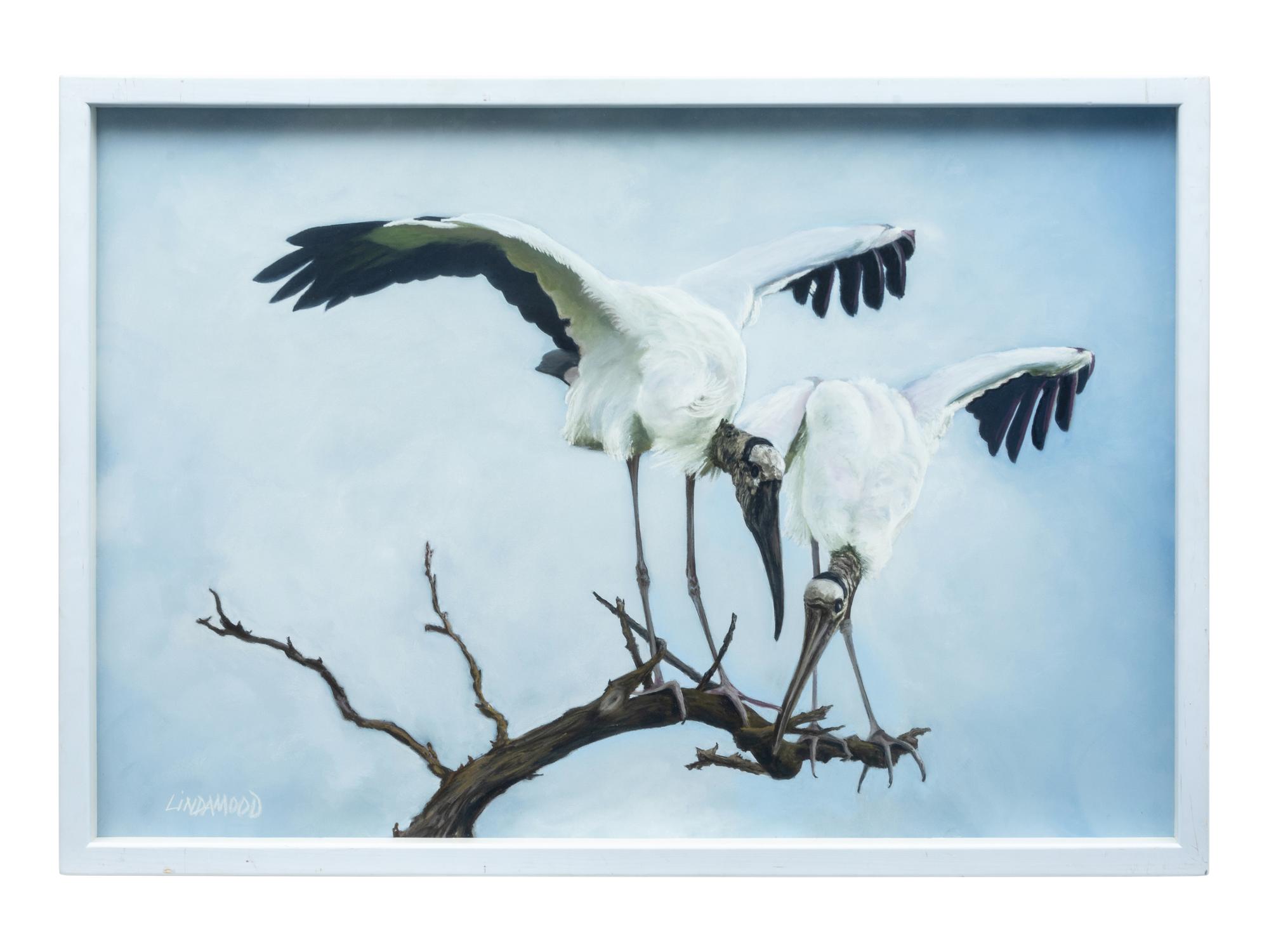 Woodstork Inspection , 2010