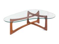 Amoeba Coffee Table