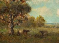 Cattle in a Clearing