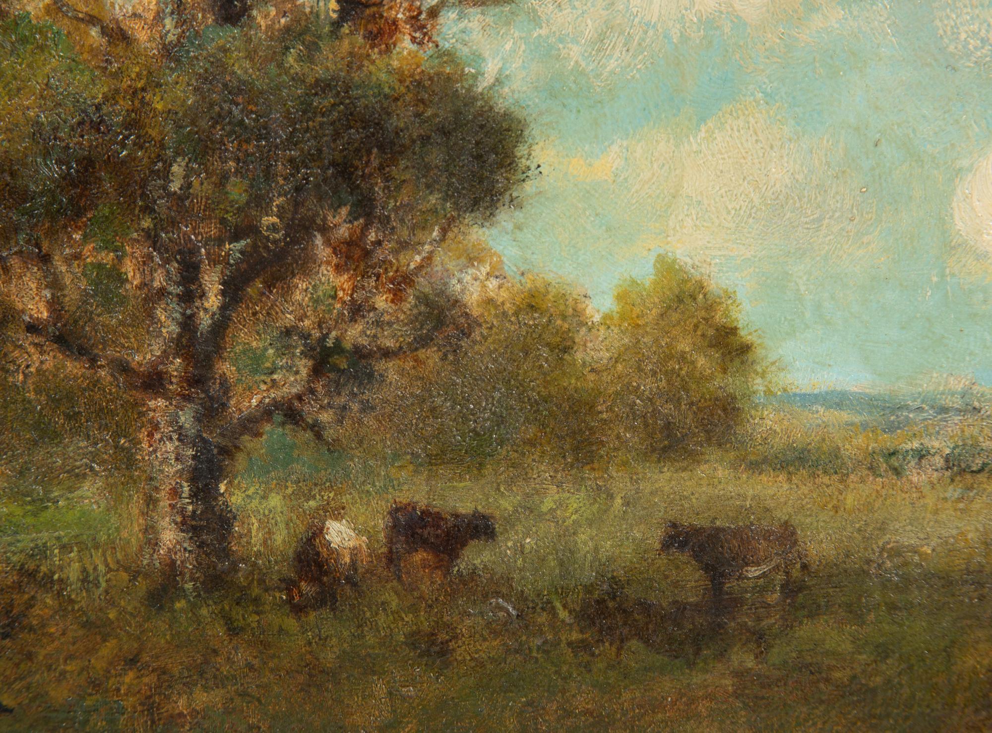 Cattle in a Clearing