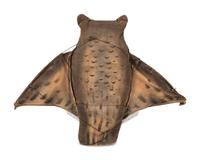 A Stuffed Cloth Owl Decoy