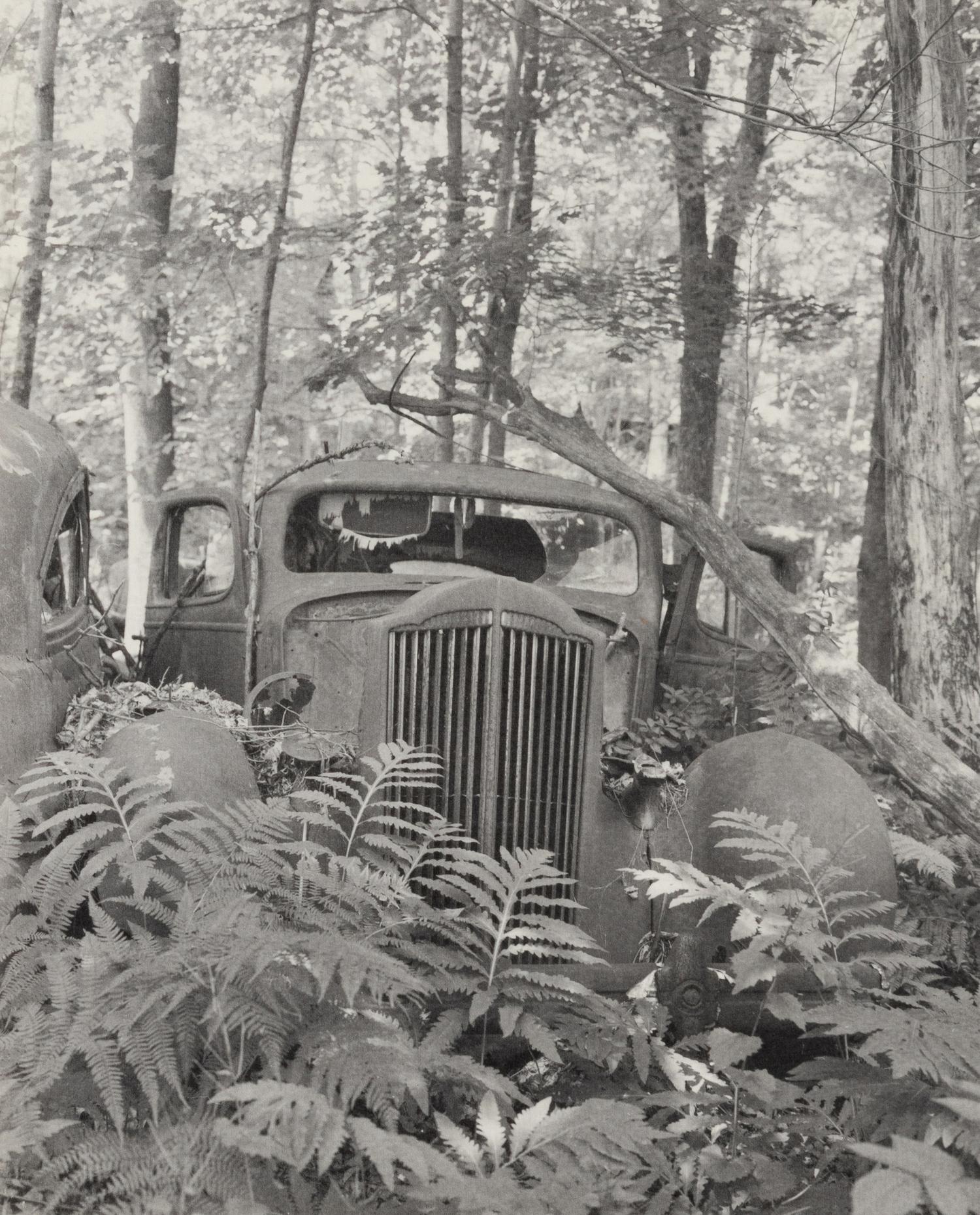 A group of fourteen photographs