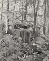 A group of fourteen photographs