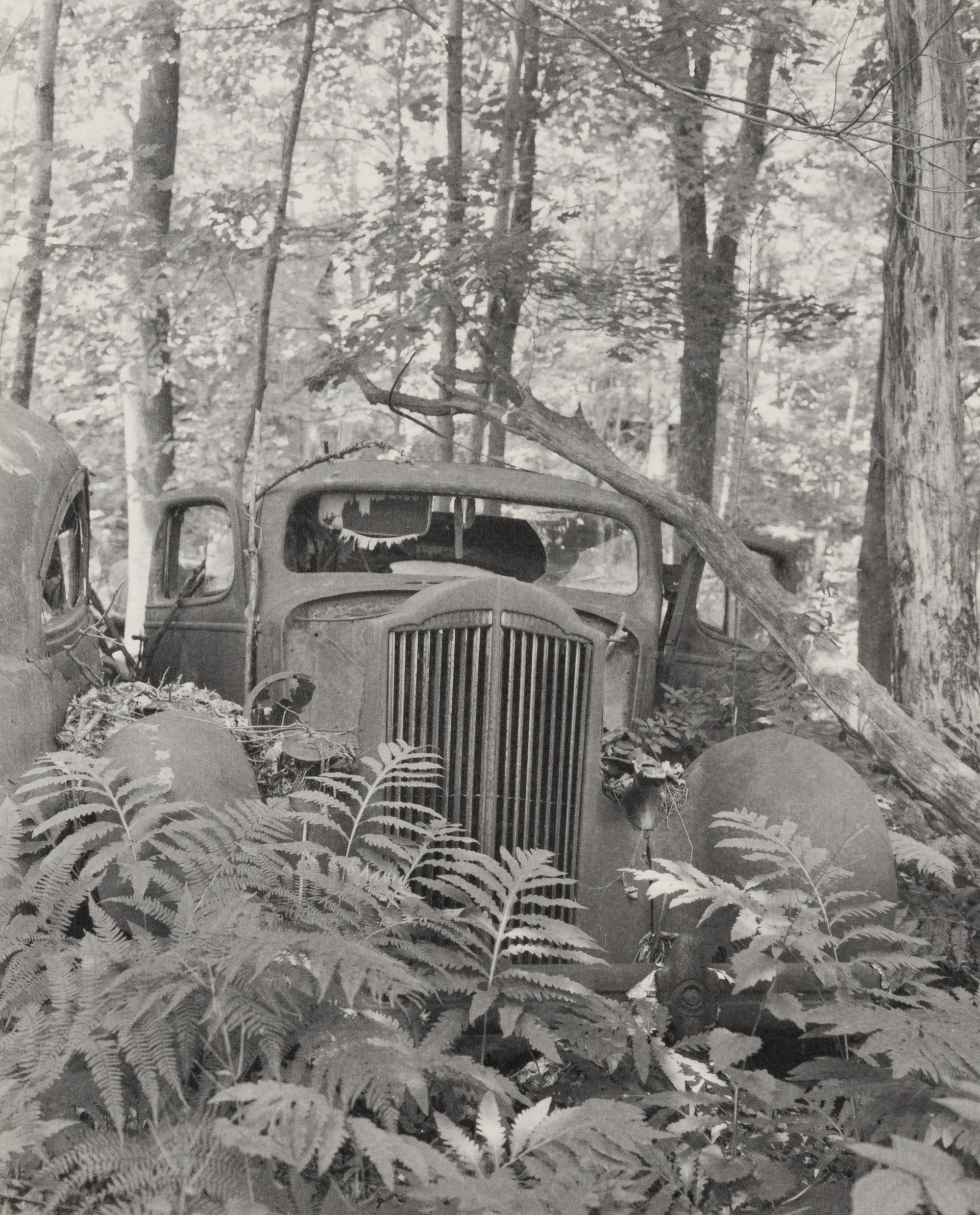 A group of fourteen photographs