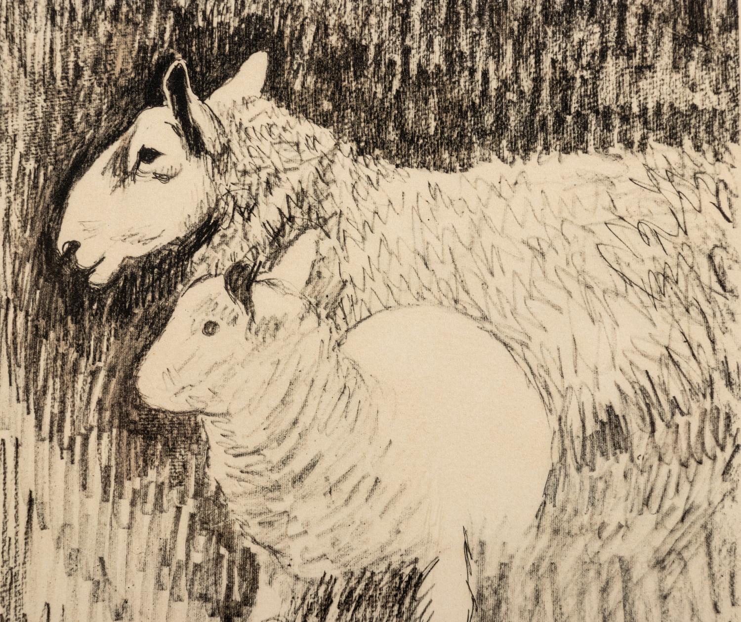Sheep & Lamb