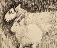 Sheep & Lamb
