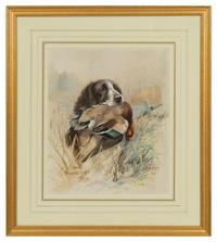Wolferton Titus Retrieving Curlew; Retriever With Duck; Yellow Labrador With Duck (three works)