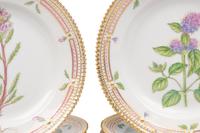 A Set of Twelve Royal Copenhagen Flora Danica Porcelain Salad Plates