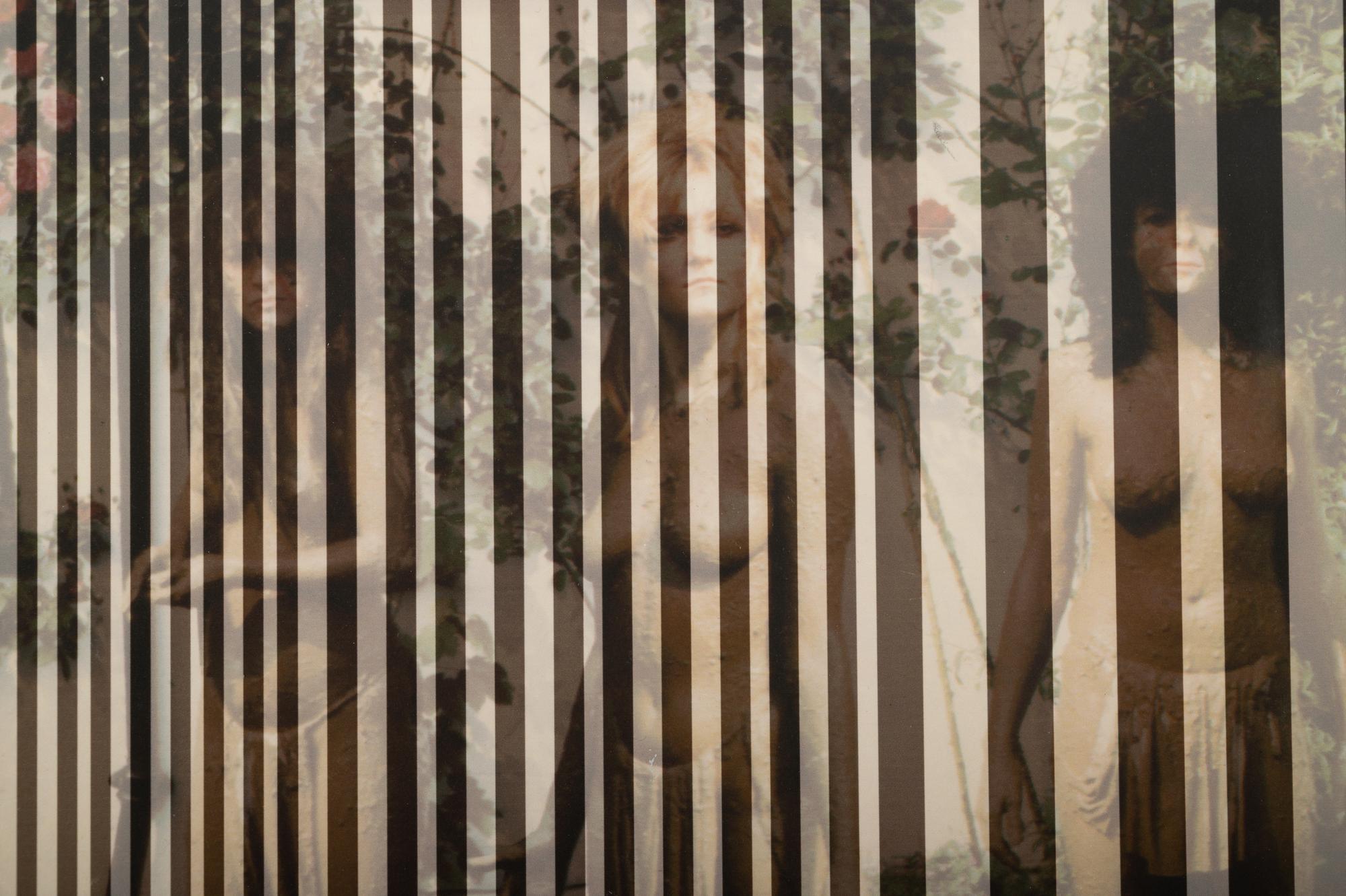 The Slits/Striped