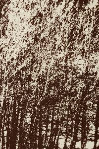 Mountain Grove, 1975 and Sunflowers After, 1972