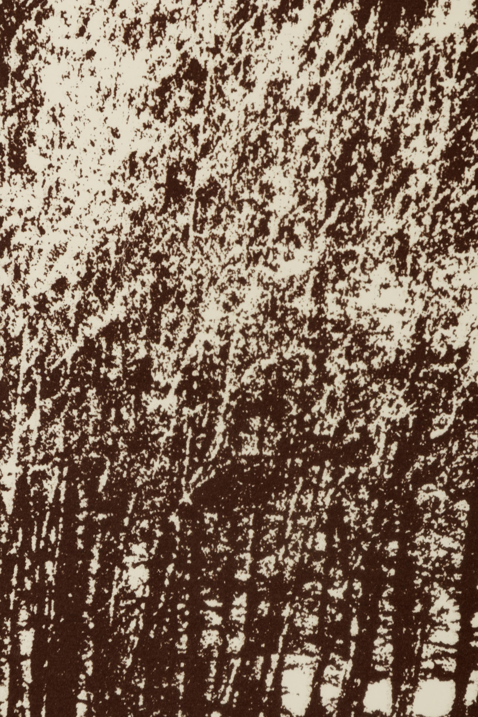 Mountain Grove, 1975 and Sunflowers After, 1972