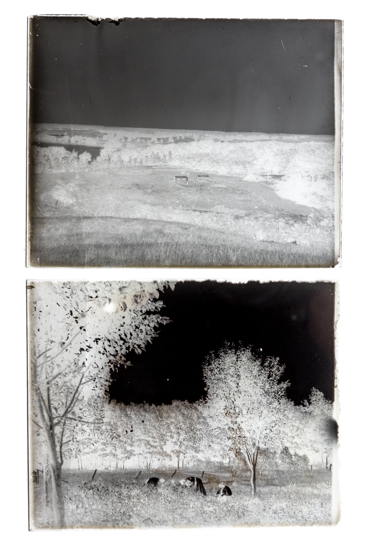 (CHICAGO, PHOTOGRAPHY). A collection of glass plate negatives with scenes of Chicago neighborhoods. c. 1890-1900.