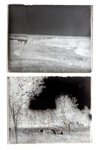 (CHICAGO, PHOTOGRAPHY). A collection of glass plate negatives with scenes of Chicago neighborhoods. c. 1890-1900.