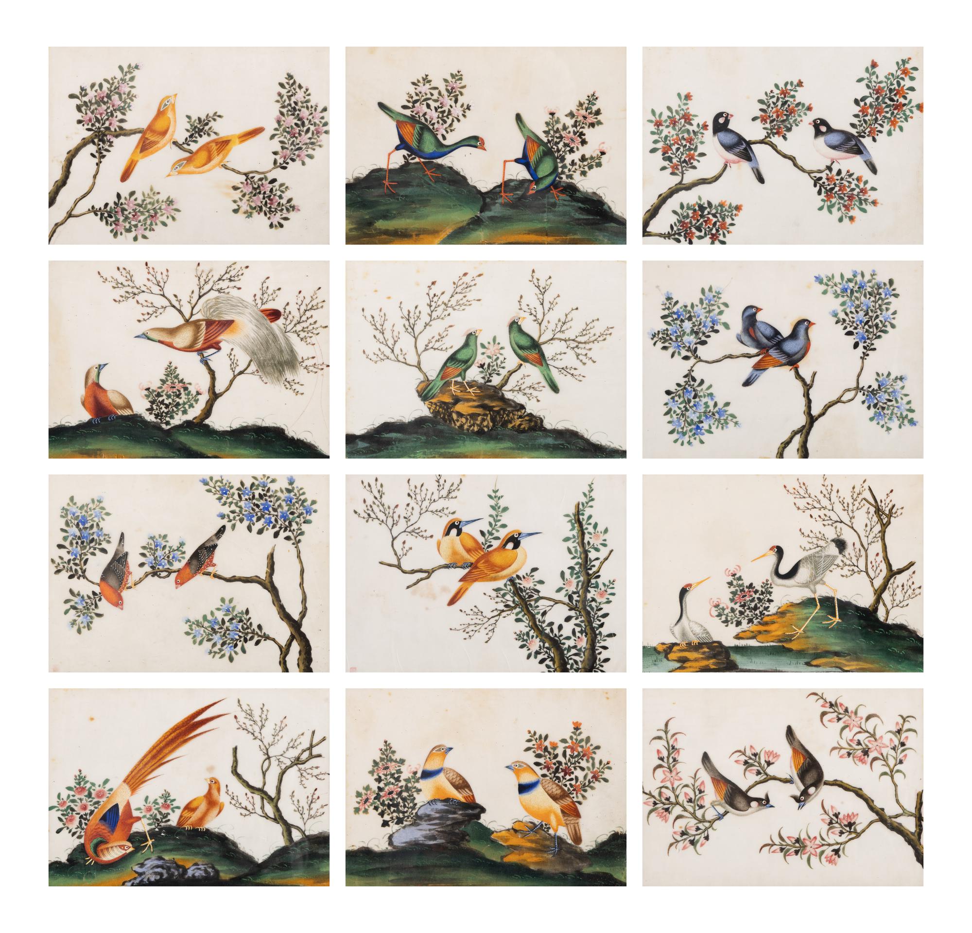 A Set of Twelve Chinese Export Watercolor and Pith Paintings
