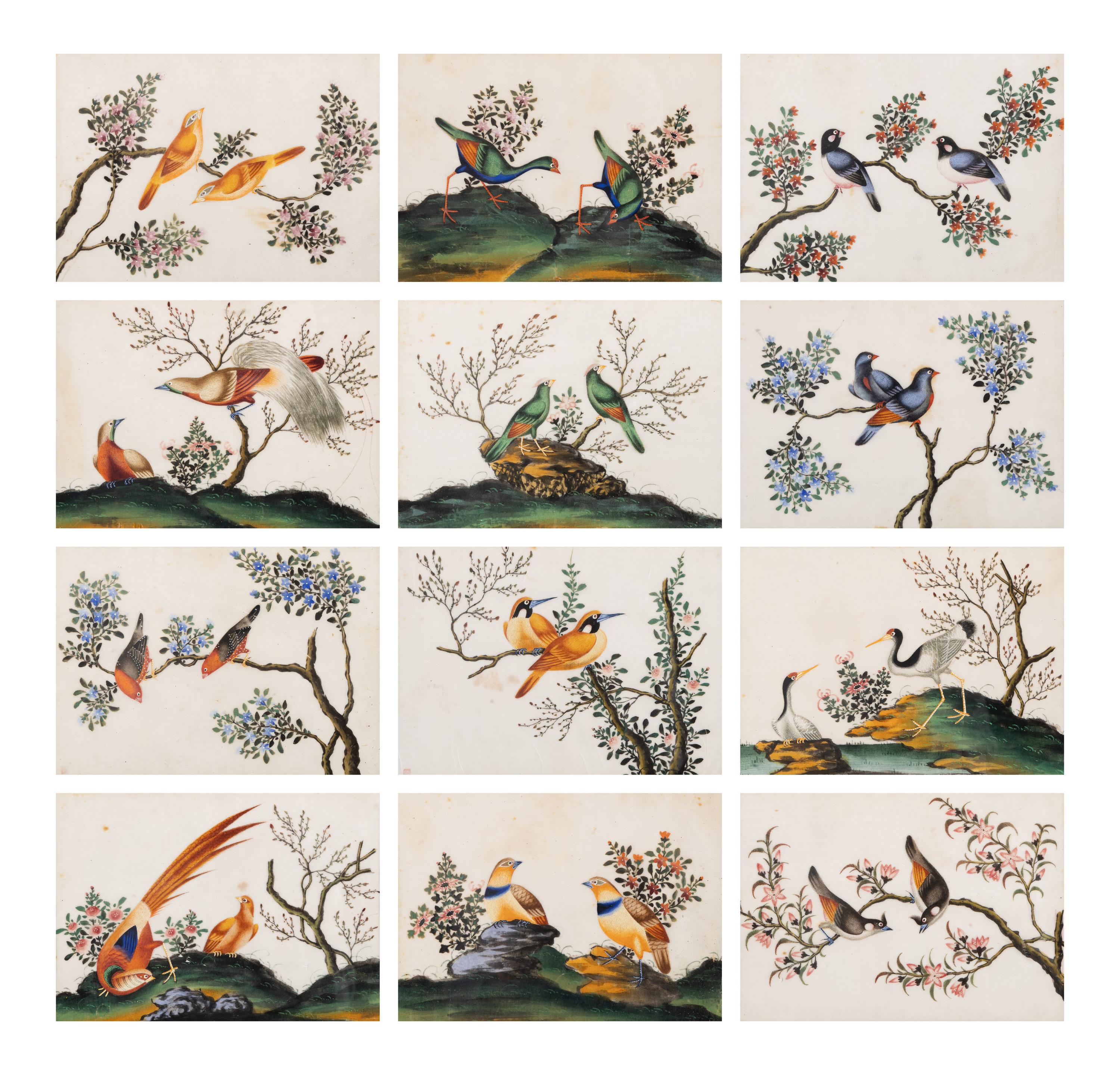 A Set of Twelve Chinese Export Watercolor and Pith Paintings