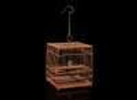 A finely executed Chinese bamboo birdcage and gold-splashed bronze hanger 精巧鳥籠及灑金銅鉤