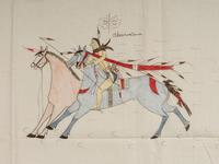 Contemporary Ledger Drawings on Muslin