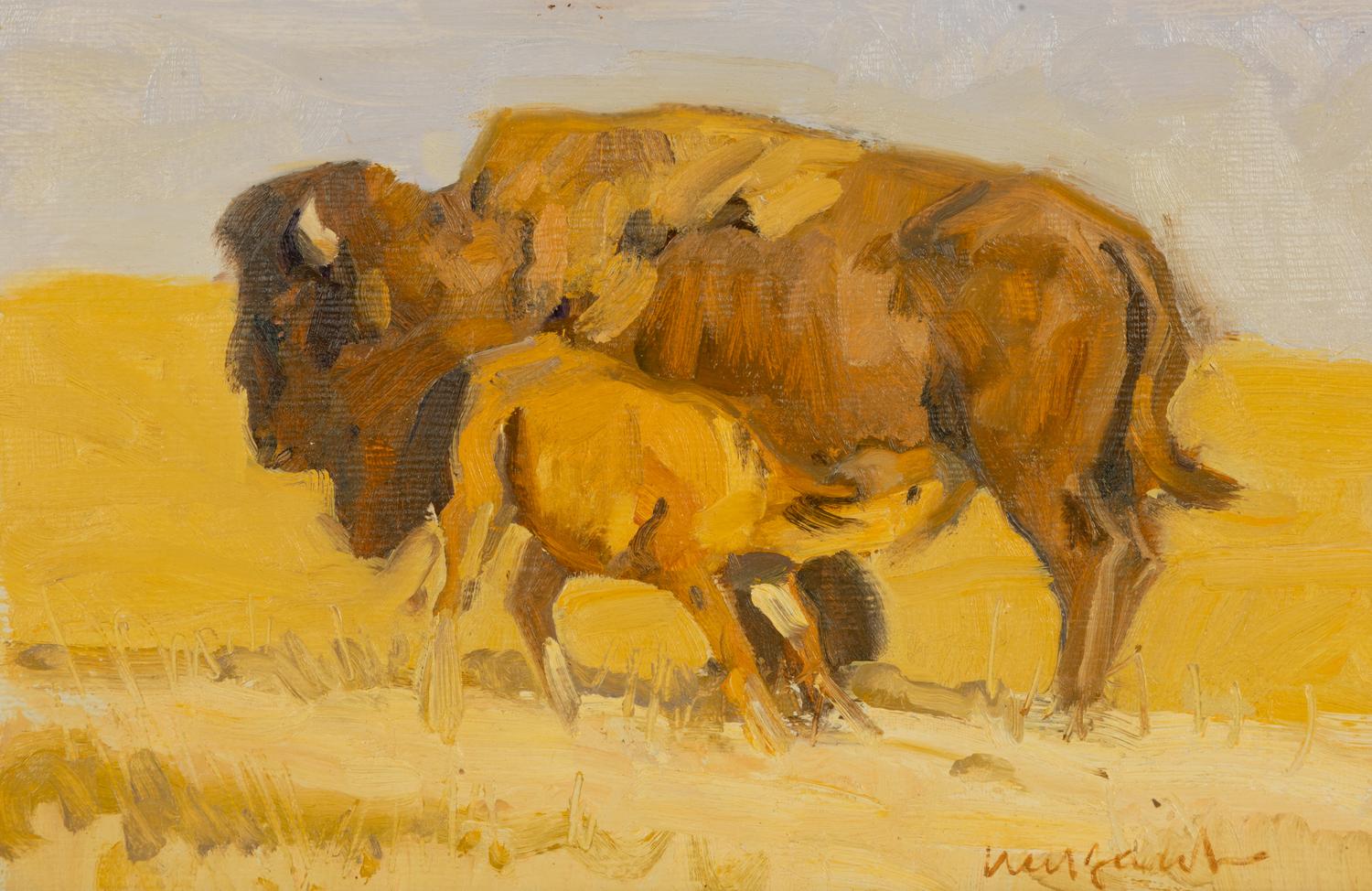 Cow Bison with Nursing Calf
