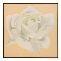 White Rose