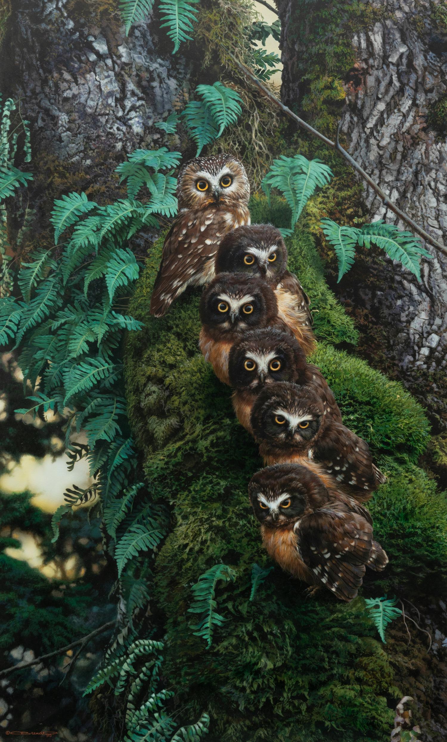 Family Tree , 1995