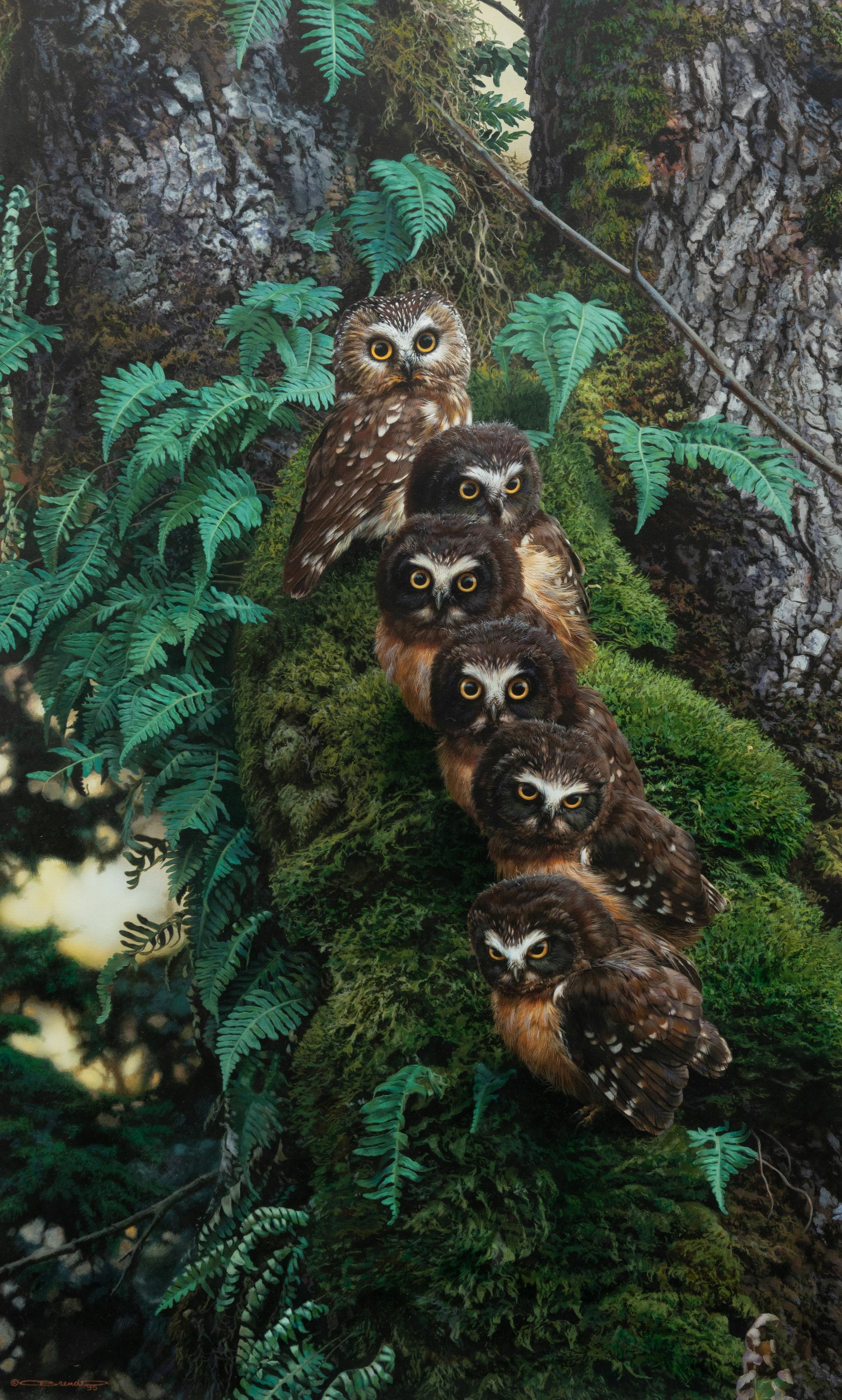 Family Tree , 1995
