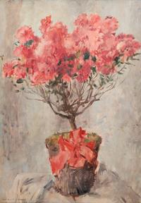 Flowering Azalea