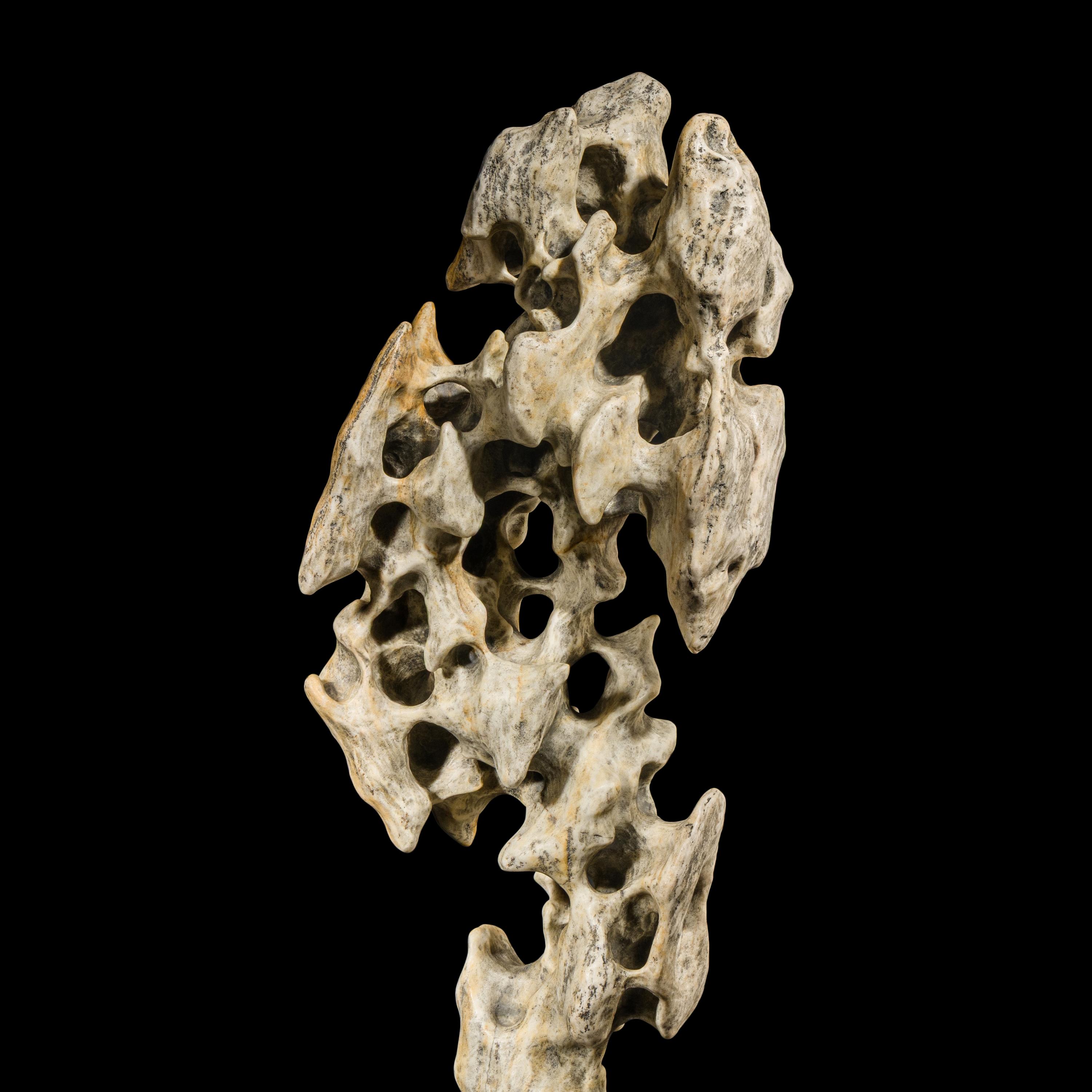 A Chinese Scholar's Rock, 20th Century — 近代 賞石一座
