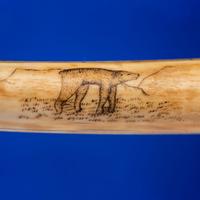 John Octuck (Inuit, 1873-1918) Scrimshawed Cribbage Board