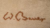 Low Pile Rug