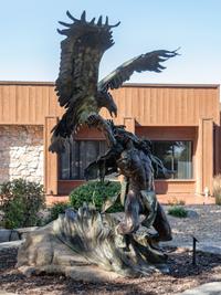 Eagle Catcher