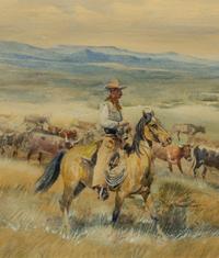 Herding Longhorns