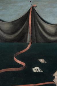 Shell and Drapery