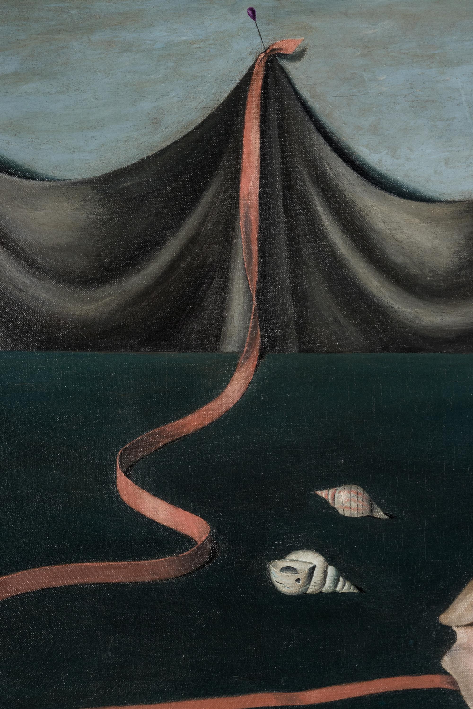 Shell and Drapery