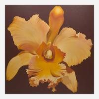 Lowell Nesbitt (American, 1933–1993) Yellow Orchid