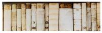 Two Photographic Panels of Vellum-Bound Books