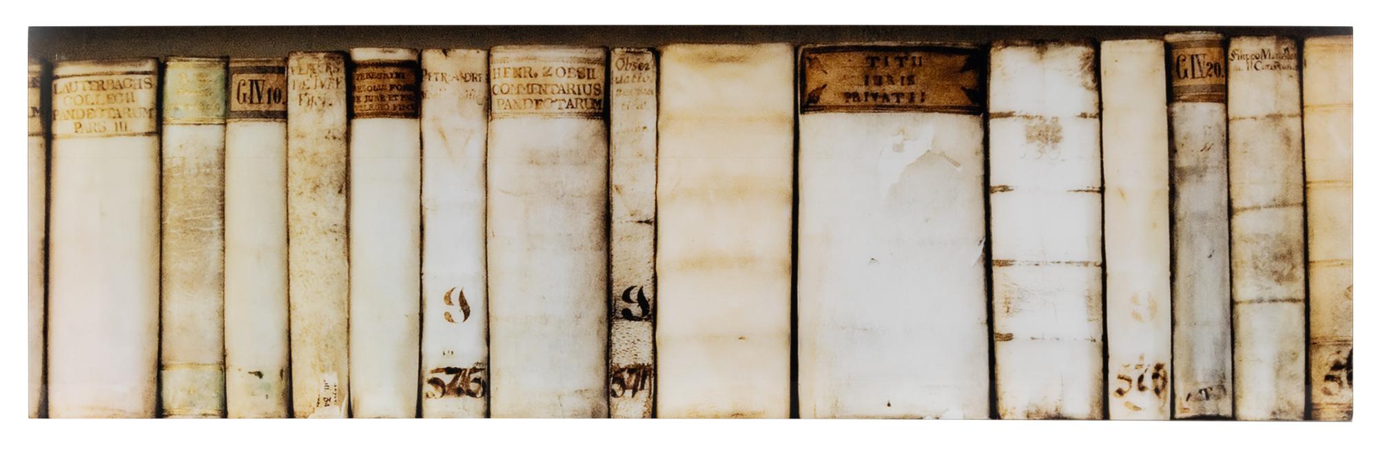 Two Photographic Panels of Vellum-Bound Books